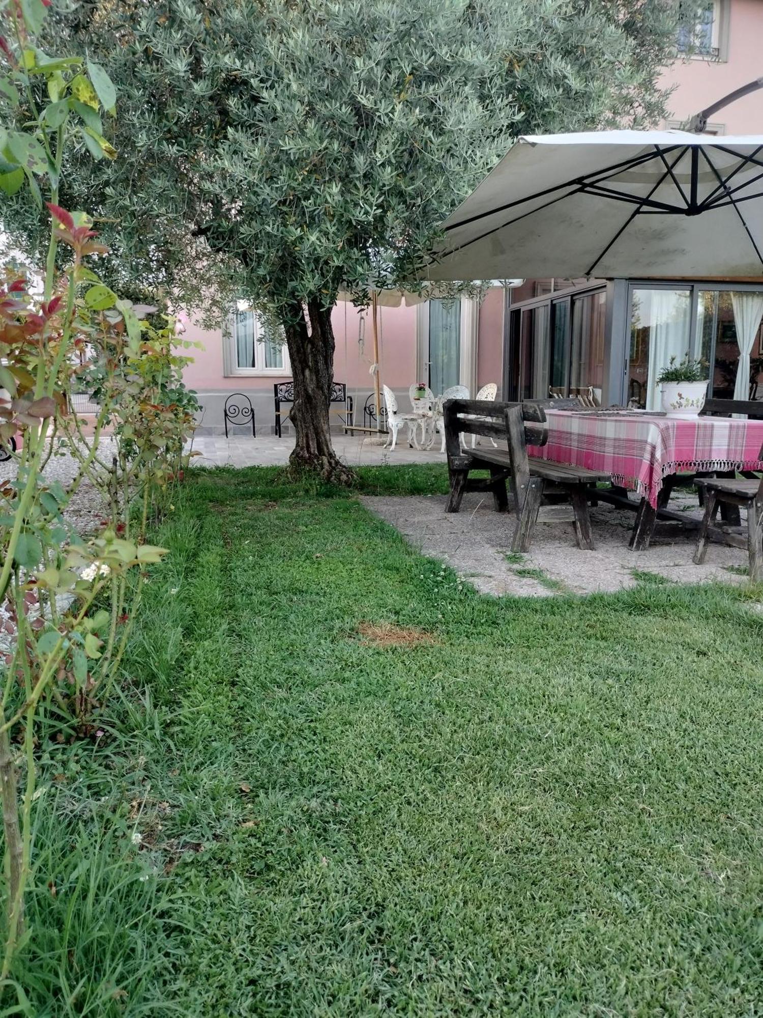 B&B La Rosa Nel Verde Lucca Exterior foto